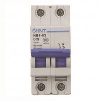 B Curve 2 Pole  Miniture Circuit Breakers (6Ka)